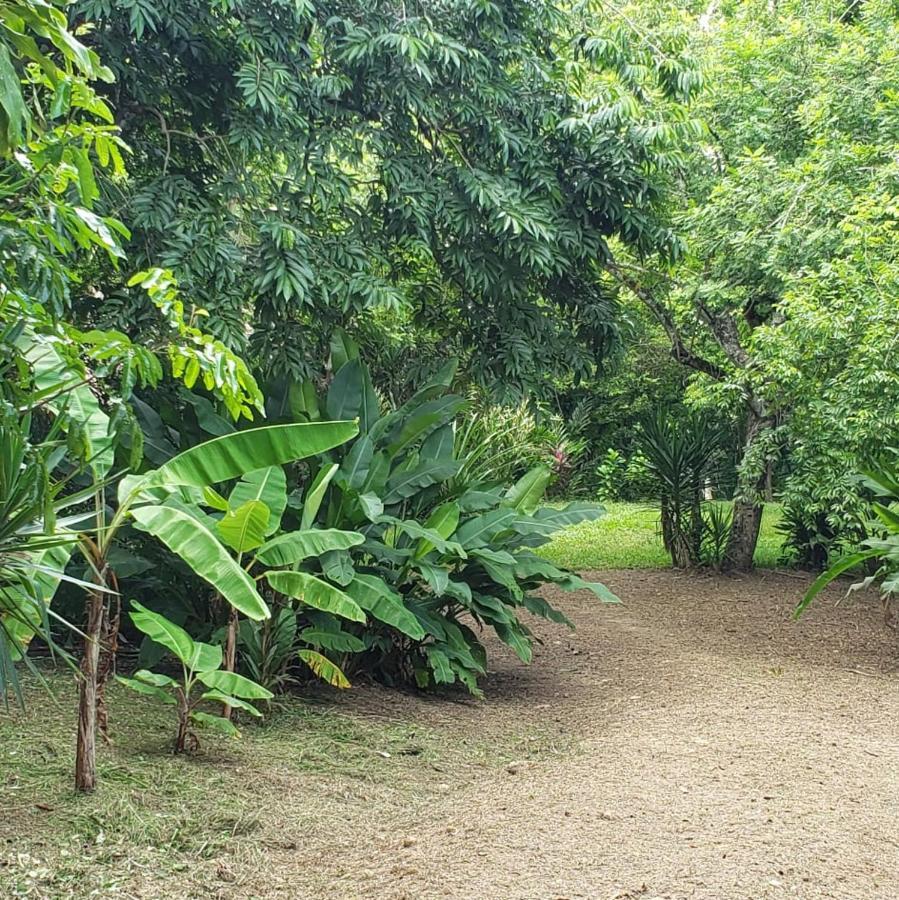 Clarissa Falls Resort San Ignacio Exterior foto